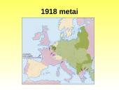 Pirmojo Pasaulinio karo priežastys ir eiga 18 puslapis