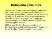 Pirmojo Pasaulinio karo priežastys ir eiga 19 puslapis