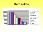 Pirmojo Pasaulinio karo priežastys ir eiga 20 puslapis