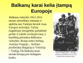 Pirmojo Pasaulinio karo priežastys ir eiga 3 puslapis