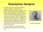 Pirmojo Pasaulinio karo priežastys ir eiga 5 puslapis