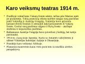 Pirmojo Pasaulinio karo priežastys ir eiga 8 puslapis