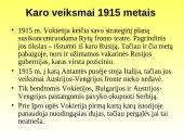 Pirmojo Pasaulinio karo priežastys ir eiga 10 puslapis