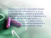 Pitagoro teorema 11 puslapis