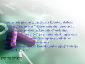 Pitagoro teorema 13 puslapis