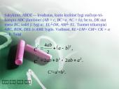 Pitagoro teorema 18 puslapis