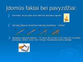 Pranešimai ir signalai. Ženklai ir abėcėlės 8 puslapis