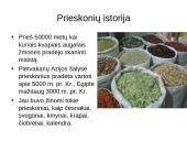 Prieskoninių augalų fitoncidai 2 puslapis