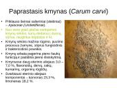 Prieskoninių augalų fitoncidai 11 puslapis