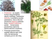 Prieskoninių augalų fitoncidai 3 puslapis