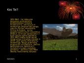 Programinė įranga 3-DS Max 2 puslapis