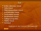 Neteisėtas programų naudojimas bei teisinė atsakomybė 12 puslapis
