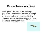 Raštas bei knyga Senovės Rytų valstybėse ir Kinijoje 11 puslapis