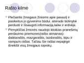 Rašto raida bei kilmė 2 puslapis