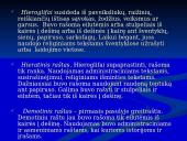 Rašto kilmė ir jos raidos pakopos  11 puslapis