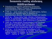 Rašto kilmė ir jos raidos pakopos  14 puslapis