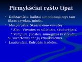 Rašto kilmė ir jos raidos pakopos  5 puslapis