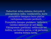 Rašto kilmė ir jos raidos pakopos  7 puslapis