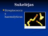 Rožė medicinoje 3 puslapis