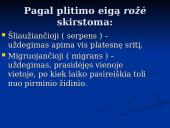 Rožė medicinoje 4 puslapis