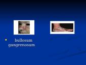 Rožė medicinoje 9 puslapis