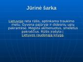 Rūšių pasiskirstymas areale 2 puslapis