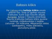 Rūšių pasiskirstymas areale 11 puslapis