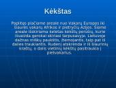 Rūšių pasiskirstymas areale 16 puslapis