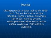 Rūšių pasiskirstymas areale 5 puslapis