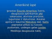 Rūšių pasiskirstymas areale 7 puslapis