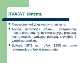 RVASVT sistema 2 puslapis