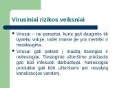 RVASVT sistema 11 puslapis