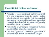 RVASVT sistema 12 puslapis
