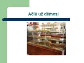 RVASVT sistema 13 puslapis