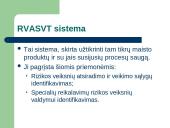 RVASVT sistema 3 puslapis