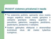 RVASVT sistema 4 puslapis