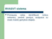 RVASVT sistema 6 puslapis
