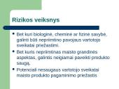 RVASVT sistema 7 puslapis