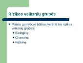RVASVT sistema 8 puslapis