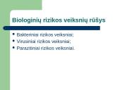 RVASVT sistema 9 puslapis