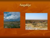 Savanos aprašymas 3 puslapis