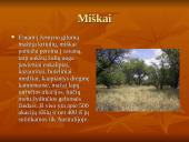 Savanos aprašymas 4 puslapis