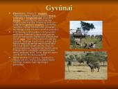 Savanos aprašymas 5 puslapis