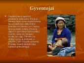 Savanos aprašymas 7 puslapis