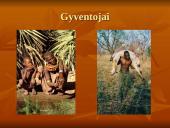 Savanos aprašymas 8 puslapis