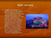Savanos aprašymas 9 puslapis