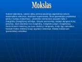 Senovės Egiptas 14 puslapis