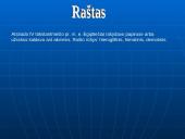 Senovės Egiptas 15 puslapis