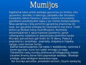 Senovės Egiptas 20 puslapis