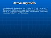 Senovės Egiptas 8 puslapis